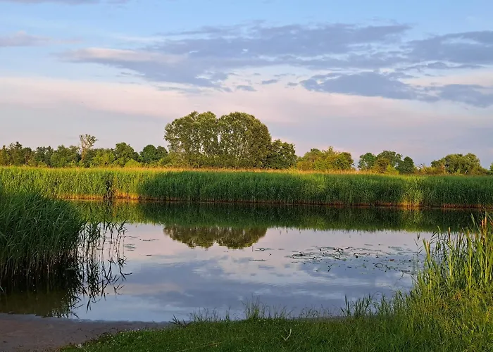 Kranichhof 게스트하우스 *