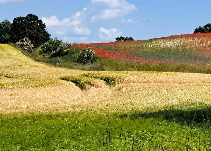 Kranichhof 게스트하우스